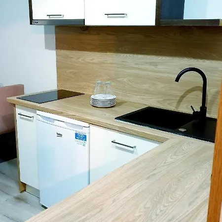 Best Choice 2-Bedroom Apartment Плоцьк Екстер'єр фото