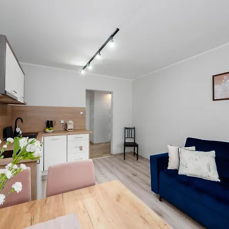 Best Choice 2-Bedroom Apartment Плоцьк Екстер'єр фото