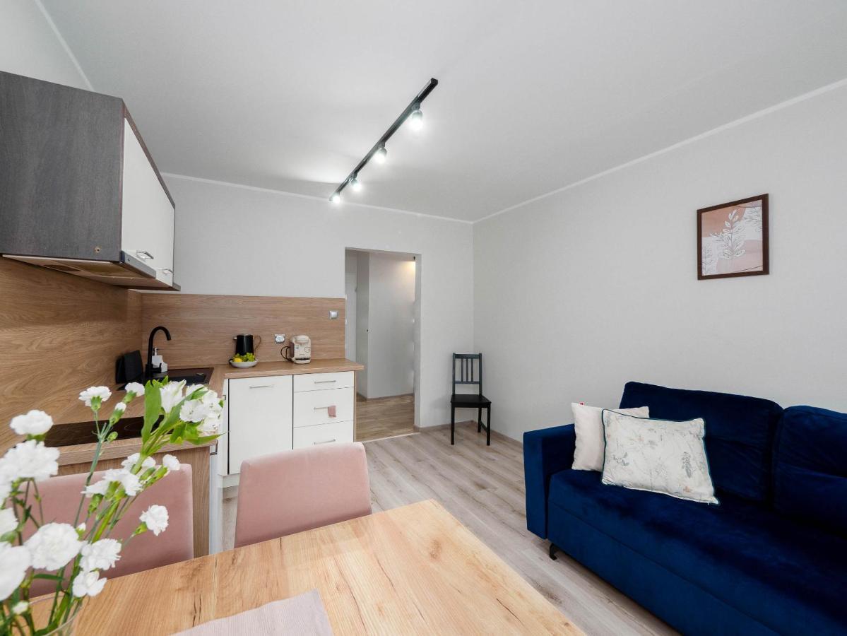 Choice 2-bedroom Apartment Plock